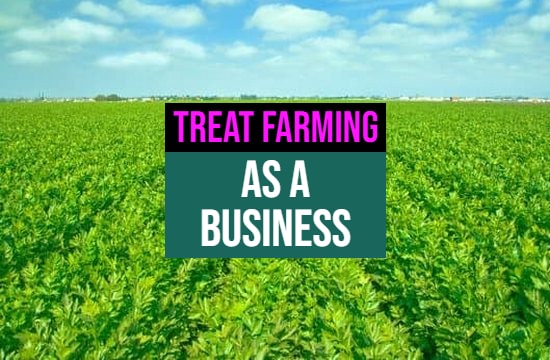 farming as a business essay